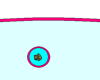 exocytosis2