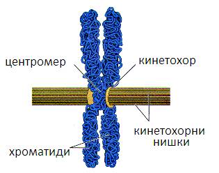methrom1