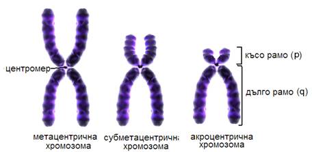 methrom2