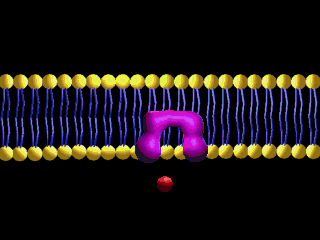 tpkm6